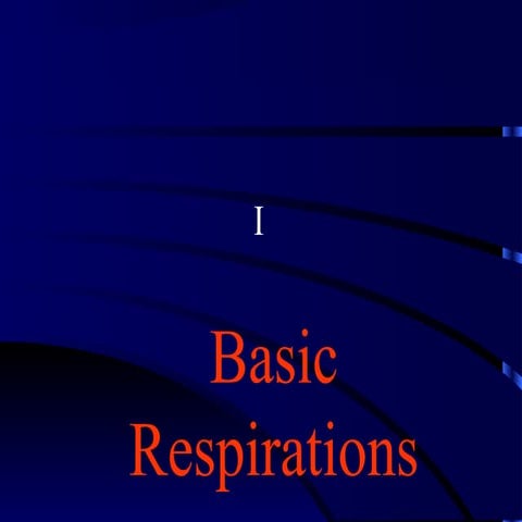 Basic respirations | PPT