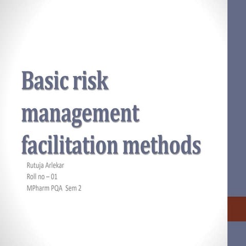 Basic risk management facilitation methods | PPT