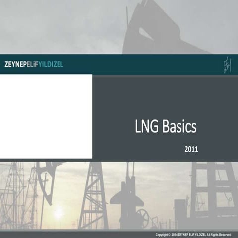 Basics for LNG 2011