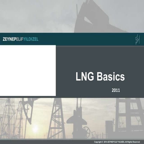 Basics for LNG 2011