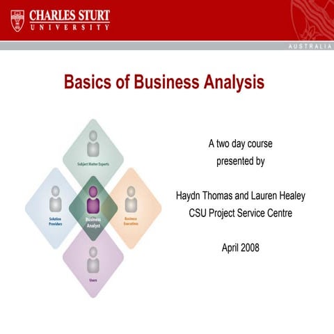Basics of Business Analysis.pdf (tham khao)