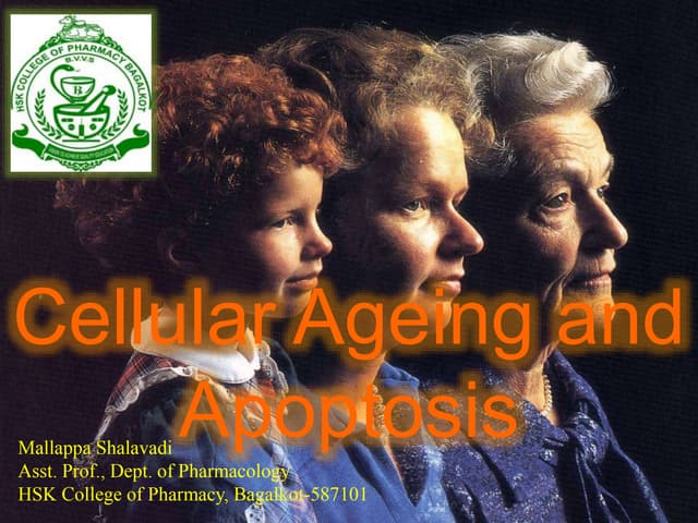 Which Statement About Cellular Aging Is True Basics of cellular aging and | PPT