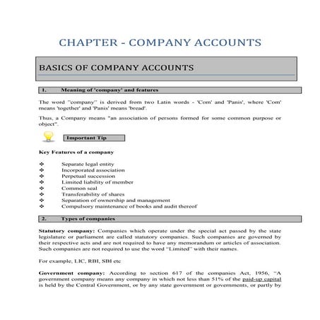 Basics of company accounts and issue of shares