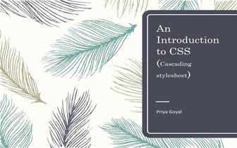 basics of css