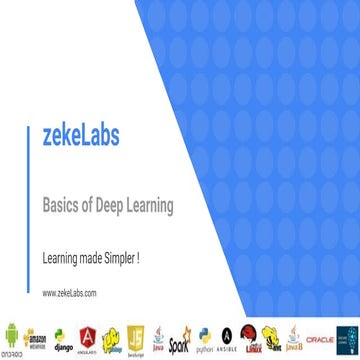 Basics of Deep Learning | PPT