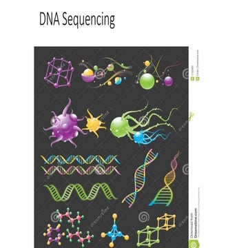 Basics of DNA & RNA (Nucleic acid)