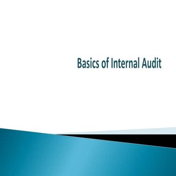 Basics of internal audit
