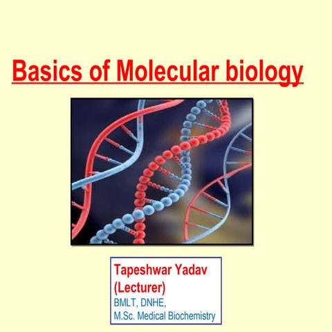 Basics of Molecular Biology
