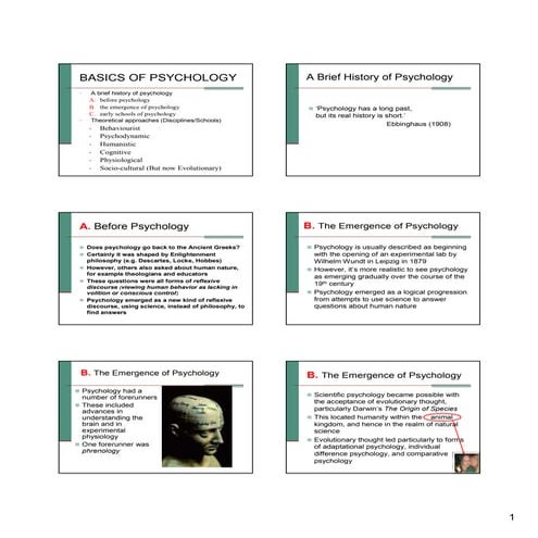Basics of Psychology.pdf
