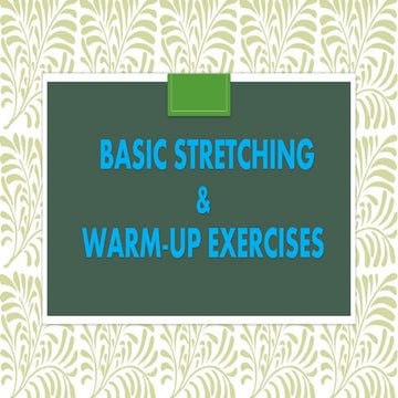 Basic stretching and warm up exercises