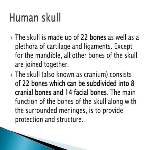 basic sturucture of human skeleton.pptx