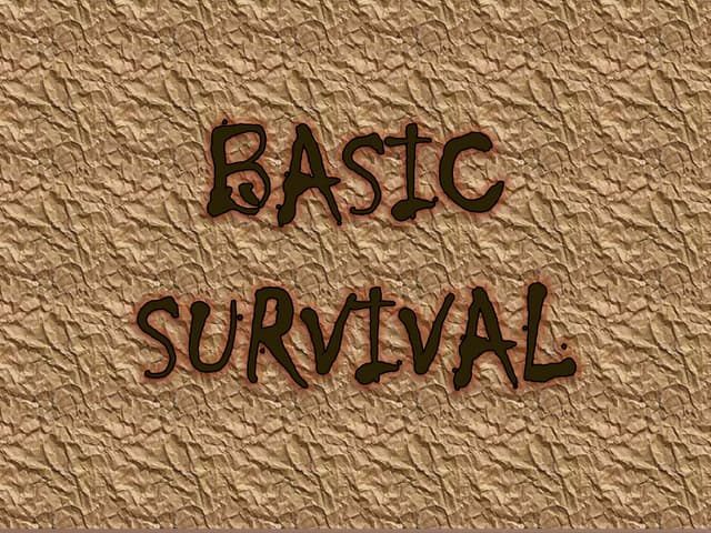 GROUP-11-WATER-SURVIVAL-TRAINING.pdf