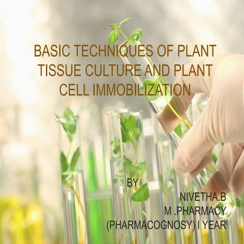 Basic techniques of plant tissue culture 