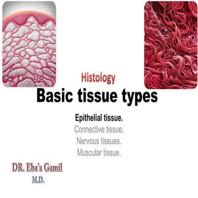 Basic tissue types 1( Epithelial tissue )