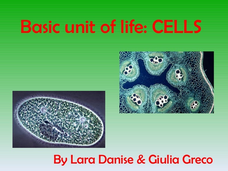 Basic unit of life