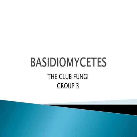 Basidiomycetes