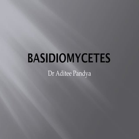 Basidiomycetes ppts                                                   m.pptx