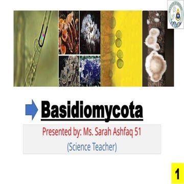 Basidiomycota. by Sarah Ashfaq  fungi pu