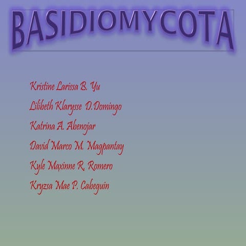 Basidiomycota