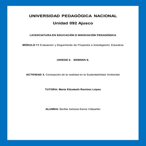 basierra concepcion de la realidad