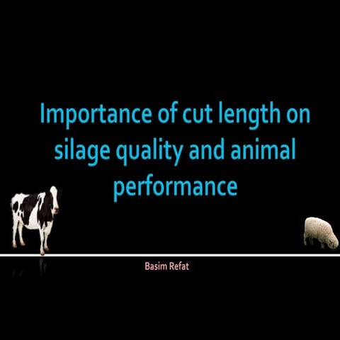 Importance of cut length on silage quality and animal performance – evaluatin...