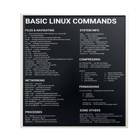 Basix linux commands | PDF