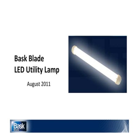 Bask bladeintro290811