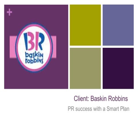 Baskin Robbins pr plan 