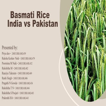 Basmati  njjhghhjutfgghhhhhhbbbbbvRice.pdf
