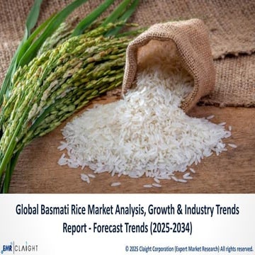 Basmati Rice Market Trends and Growth Outlook Worldwide | PDF