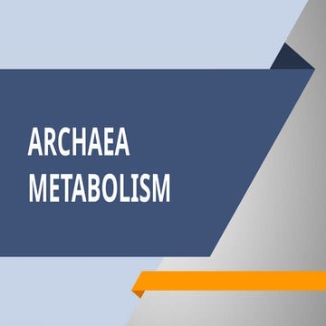 Archaea Metabolism and its processes .pptx