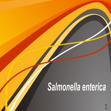 Salmonella enterica biosafety and biosecurity .pptx
