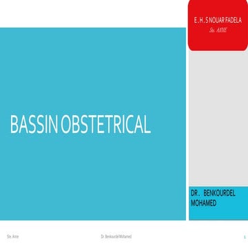 Bassin obstetrical [enregistrement automatique]