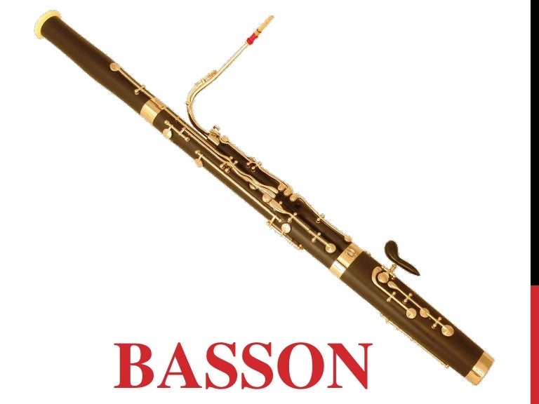 Basson
