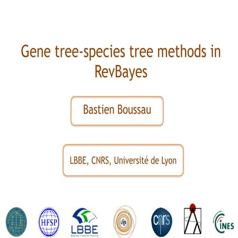 Gene tree-species tree methods in RevBayes