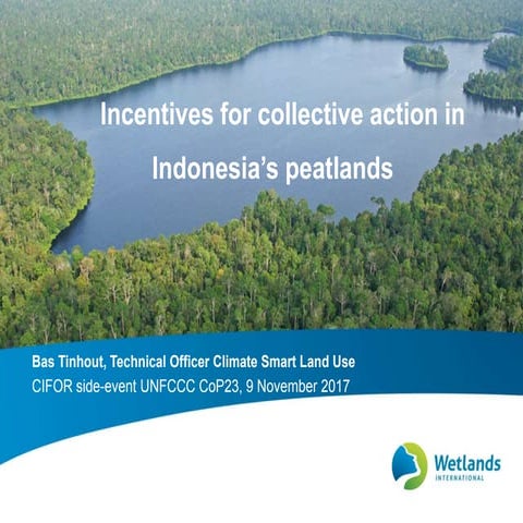 Incentives for collective action in Indonesia's peatlands
