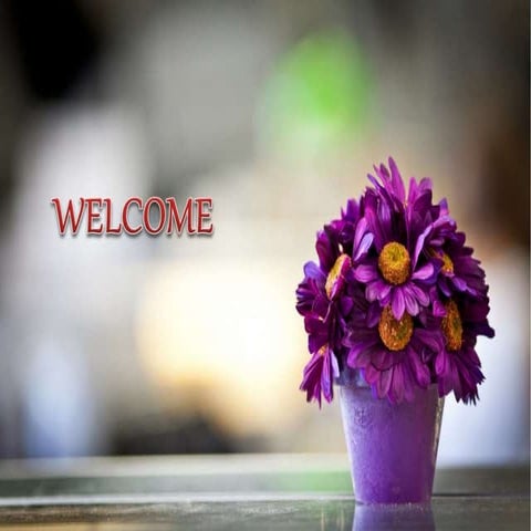 Nursery plant hardening, container gardening