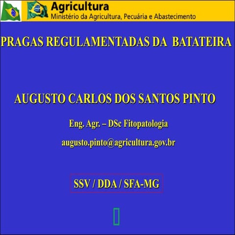 Batata fungos-2013