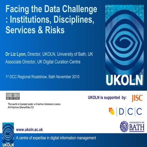 Facing the Data Challenge: Institutions, Disciplines, Services and Risks