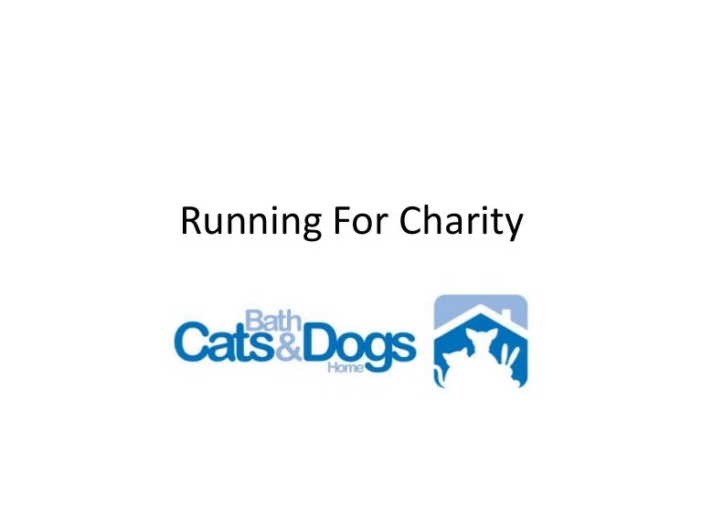 Bath cats and dogs home charity presentation.