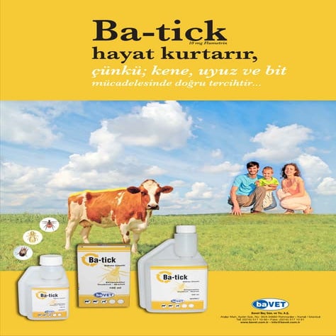 Batick | PDF