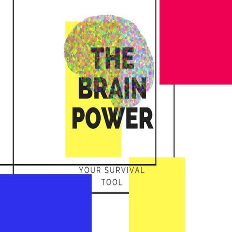 Brain Power | PDF