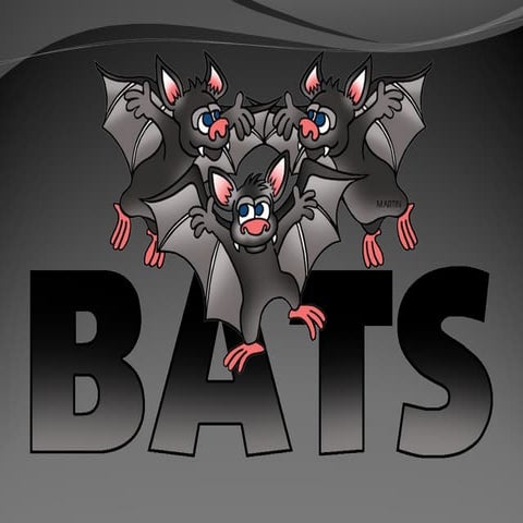 Bats - An Introduction for Grades K-1