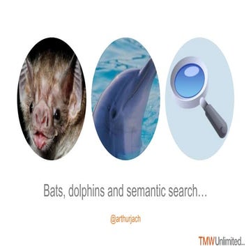 Bats, Dolphins and Semantic Search - IAB This is Search Conference 2015