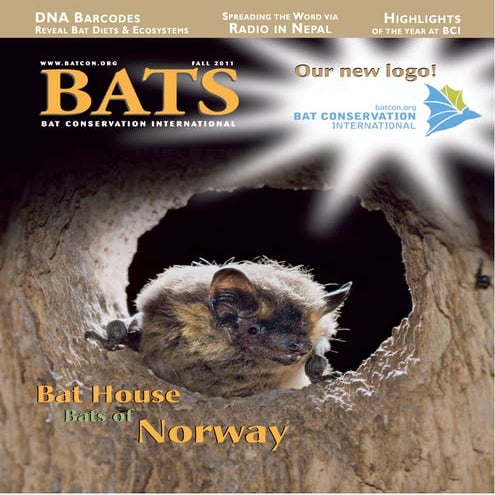 Bat Conservation International: A Five-Year Strategy for Global Bat ...