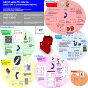 Poster European Cetacean Society (ECS) 2010 | PDF