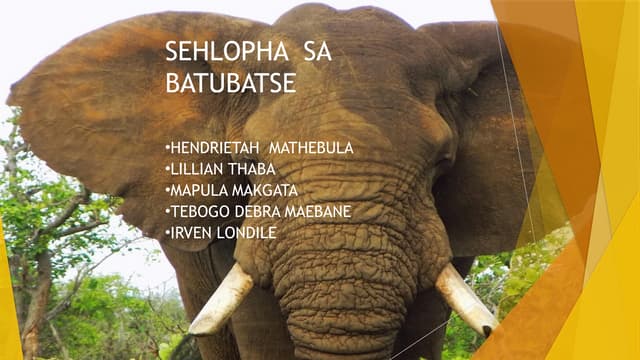 Sehlopha sa batubatse AFT 121 presentations (dingwalwa tsa setso)