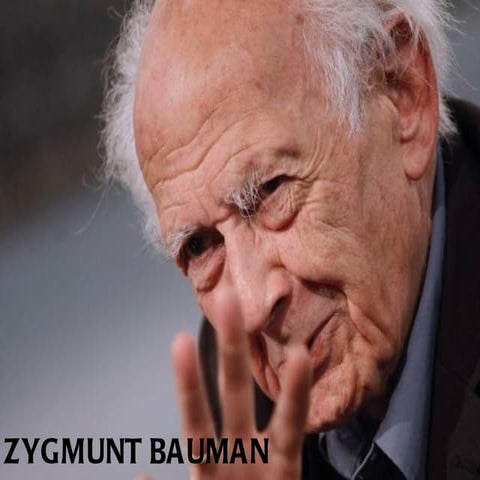Baumanzygmunt