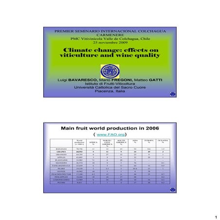 Bavaresco Seminario Colchagua 2009