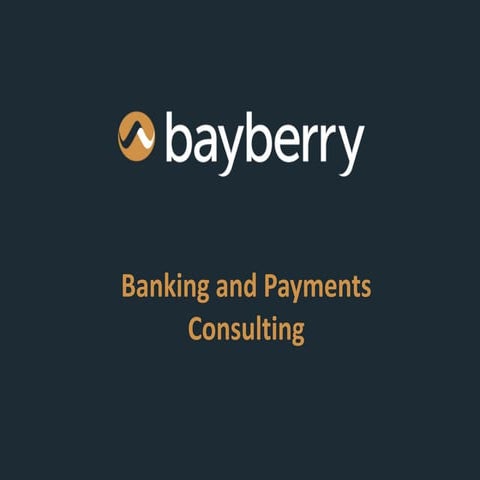 Bayberry Banking and Payments Consulting